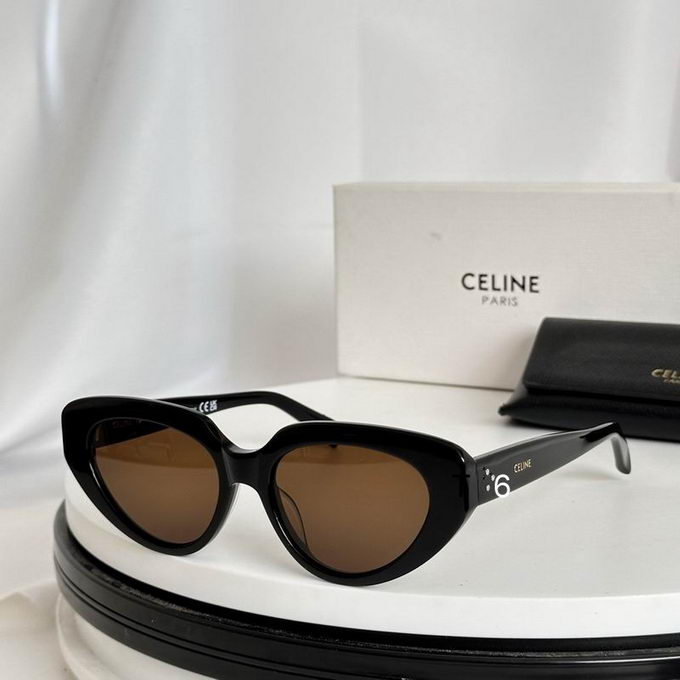 Celine Sunglasses ID:20240804-72